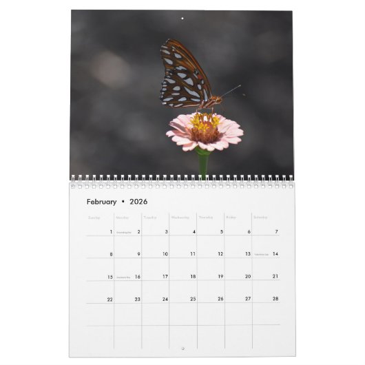 Calendrier Butterfly 2026 (Feb 2026)
