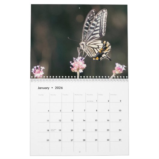 Calendrier Butterfly 2026 (Jan 2026)