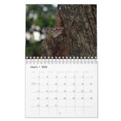 Calendrier Butterfly Calendar (Mar 2026)