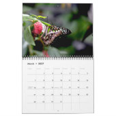 Calendrier Butterfly Calendar (Mar 2027)