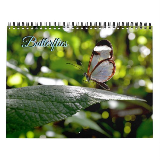 Calendrier Butterfly Calendar (Protection)