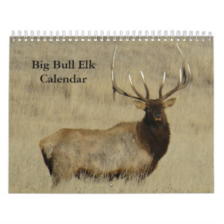 Calendrier C10 Big Bull Elk