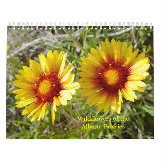 Calendrier C12 Fleurs sauvages des Prairies de l'Alberta (Protection)
