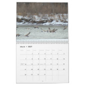 Calendrier C7 Prairie Wings (Mar 2027)