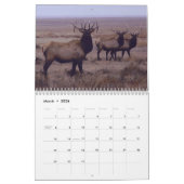 Calendrier C9 Big Bull Elk (Mar 2026)