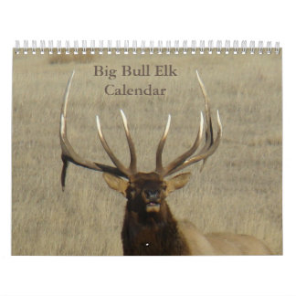 Calendrier C9 Big Bull Elk