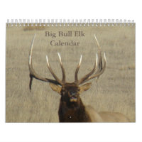 Calendrier C9 Grand Élan Mâle