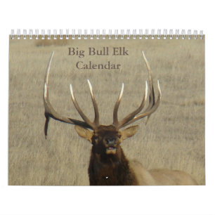 Calendrier C9 Grand Élan Mâle