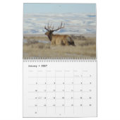 Calendrier C9 Grand Élan Mâle (Jan 2027)