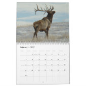 Calendrier C9 Grand Élan Mâle (Feb 2027)