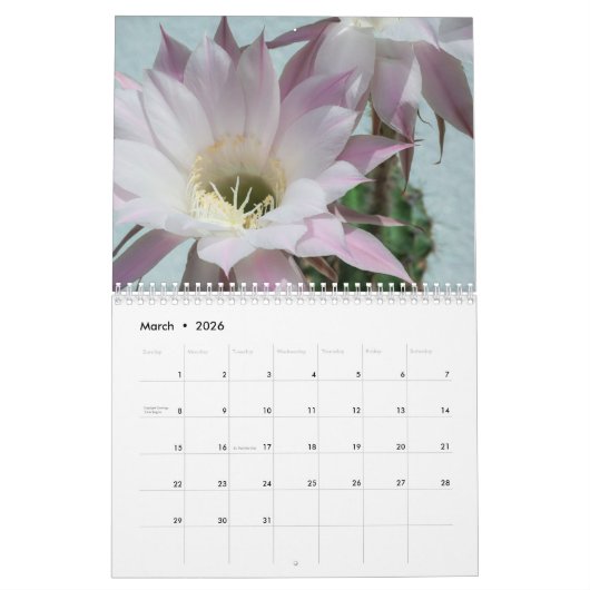 Calendrier Cactus 2025 (Mar 2026)