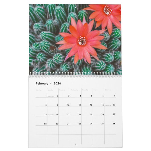 Calendrier Cactus 2025 (Feb 2026)