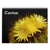 Calendrier Cactus 2025 (Protection)