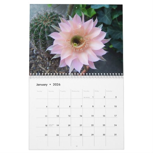 Calendrier Cactus 2025 (Jan 2026)