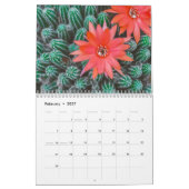Calendrier Cactus 2025 (Feb 2027)