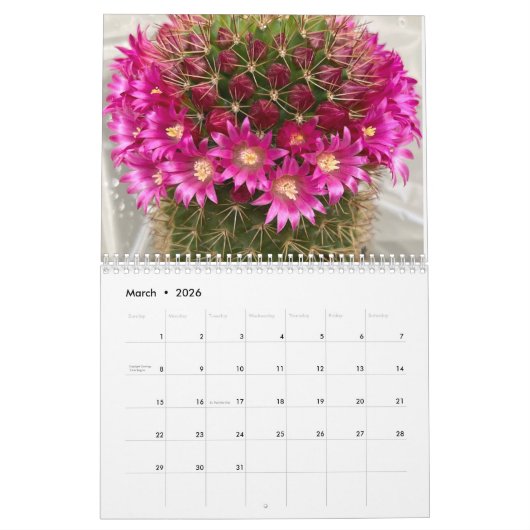 Calendrier Cactus 2025 (Mar 2026)