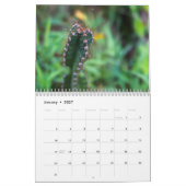 Calendrier Cactus 2025 (Jan 2027)