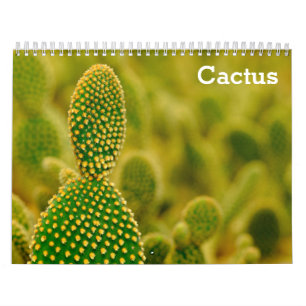 Calendrier Cactus 2025