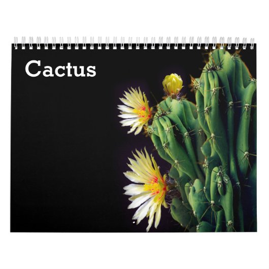 Calendrier Cactus 2027 (Protection)