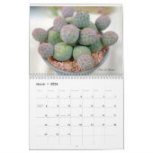 Calendrier Cactus 202X par Debra Lee Baldwin (Mar 2026)