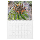 Calendrier Cactus 202X par Debra Lee Baldwin (Jan 2026)