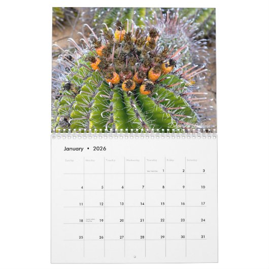 Calendrier Cactus 202X par Debra Lee Baldwin (Jan 2026)