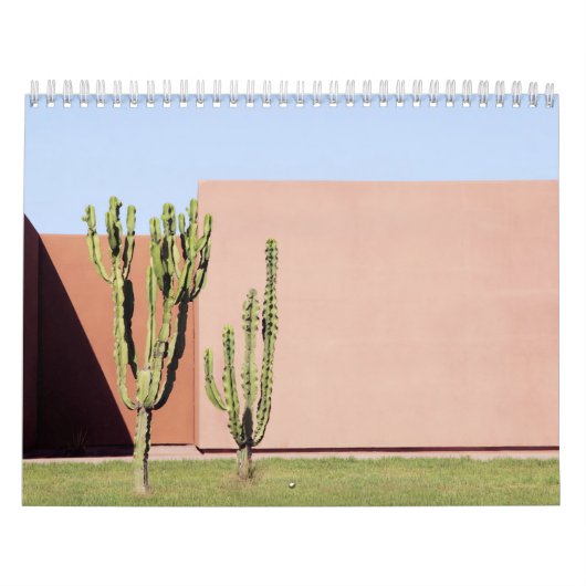 Calendrier Cactus Brothers (Protection)