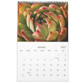 Calendrier Cactus et succulents (Jan 2027)