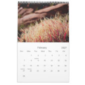 Calendrier Cactus et succulents (Feb 2027)