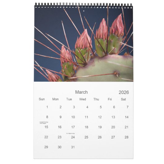 Calendrier Cactus et succulents (Mar 2026)
