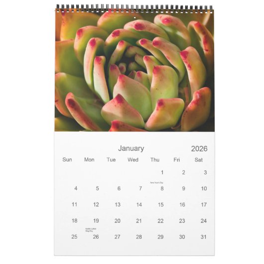 Calendrier Cactus et succulents (Jan 2026)