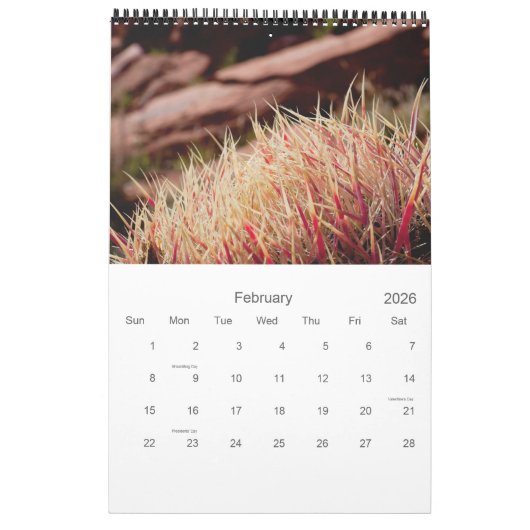 Calendrier Cactus et succulents (Feb 2026)