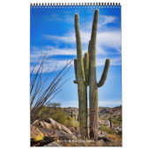 Calendrier Cactus et succulents (Protection)