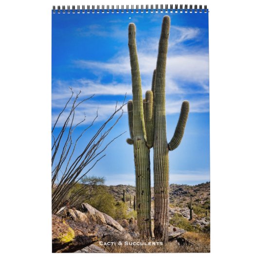 Calendrier Cactus et succulents (Protection)
