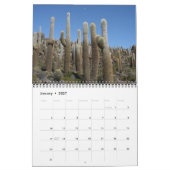 calendrier cactus géant 2010 (Jan 2027)