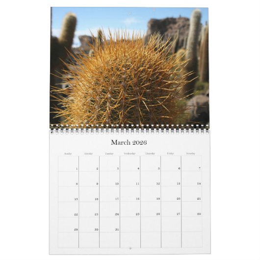 Calendrier cactus géant 2025 (Mar 2026)