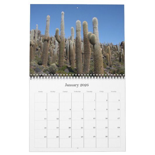 Calendrier cactus géant 2025 (Jan 2026)