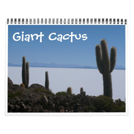 Calendrier cactus géant 2026 (Protection)