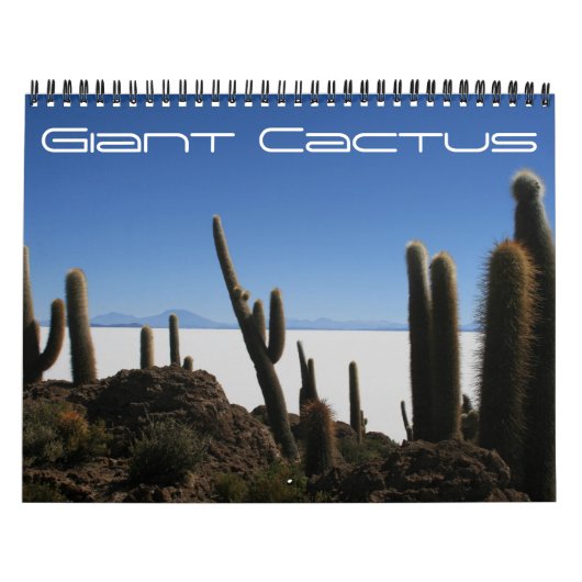 Calendrier cactus géant 2026 (Protection)