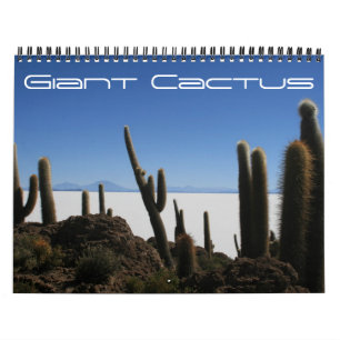 Calendrier cactus géant 2027