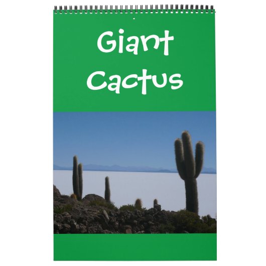 Calendrier cactus géants (Protection)