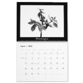 Calendrier Cactus monochromes 2025 (Mar 2026)