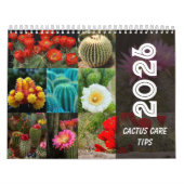 Calendrier Cactus  Monthly Desert Plant Inspiration (Protection)