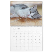 Calendrier Cadeau mignon 2025 Wall Calendar All Kittens (Mar 2026)