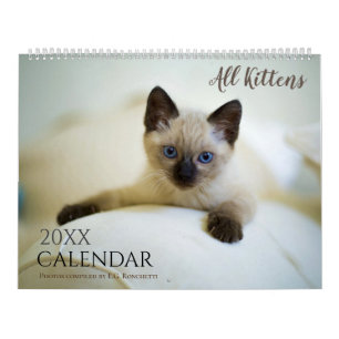 Calendrier Cadeau mignon 2025 Wall Calendar All Kittens
