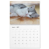 Calendrier Cadeau mignon 2025 Wall Calendar All Kittens (Mar 2027)
