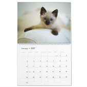 Calendrier Cadeau mignon 2025 Wall Calendar All Kittens (Jan 2027)