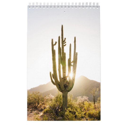 Calendrier Cadeau photo du désert avec Cactus (Protection)