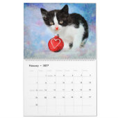 Calendrier Cadeaux pour amateurs de chatons mignons bébé chat (Feb 2027)