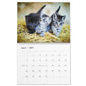 Calendrier Cadeaux pour amateurs de chatons mignons bébé chat (Mar 2027)